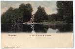 CPA Précurseur  Bruxelles  Le Grand  Lac Au Bois De La Cambre. - Bosques, Parques, Jardines