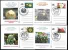 Cactusses,cactus From Botanical Gardens Of Clij-Napoca 4x Postcard,obliteration Concordante - Romania. - Sukkulenten