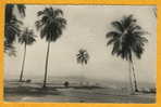 CONAKRY - Guinée - N° 1260 Un Coin De La Corniche- Circulée En 1960 Carte Photo  Edit Gogex - Guinée