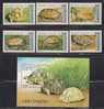 Togo     " Turtles "      Set  & Souvenir Sheet    SC# 1790-95A MNH** SCV$ 15.50 - Tortues