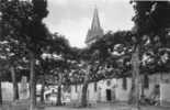 CPSM - 40 - LANDES - SAINT-VINCENT-de-TYROSSE - L'Eglise Et Le Monument Aux Morts - 061 - Saint Vincent De Tyrosse