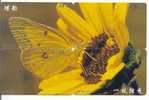 4 Telecartes En Puzzle PAPILLON Butterfly SCHMETTERLING Vlinder (4) - Butterflies