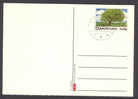 Denmark Postal Stationery Ganzsache Entier 2002 Deluxe Cancel SØBORG Einheimische Bäume Native Trees Buche - Enteros Postales