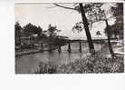 VIEUX BOUCAU  -   Le Pont Pittoresque Dans Les Pins  - N°  5217 - Vieux Boucau