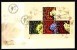Romania 2005 FDC With VITICULTURE Vines,Grape. - Vinos Y Alcoholes