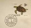 1966 RYUKYU TURTLE STAMP ON COVER TURTLES - Schildkröten