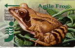 # JERSEY JER62 Agile Frog 5 Gpt 03.94 20000ex -animal,frog,grenouille- Tres Bon Etat - Jersey E Guernsey