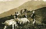 ENFANTS DANS LA MONTAGNE AVEC CHEVRES,MOUTONS.........CPSM PETIT FORMAT ANIMEE - Mon