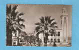 CPSM - Algérie - Philippeville - La Municipalité - Mosquée - Islam