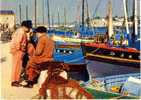 TREBOUL Finistère 29 : Le Port Les Vieux Devant Les Chalutiers ( Bateaux Fishing Boat ) - Tréboul