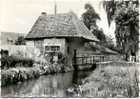 MOL- OUDE WATERMOLEN OP DE NETHE-MOULIN - Mol