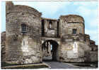 Carte Postale 86. Loudun  La Porte De Martray Trés Beau Plan - Loudun