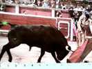 TORO TOROS  ARENA TOREADOR FAENA DE MULETA N1975 CD6335 - Tauri