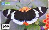 PAPILLON Butterfly SCHMETTERLING VlinderTelecarte (307) - Butterflies