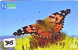 PAPILLON Butterfly SCHMETTERLING VlinderTelecarte (305) - Vlinders
