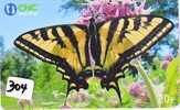 PAPILLON Butterfly SCHMETTERLING VlinderTelecarte (304) - Schmetterlinge