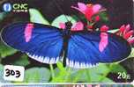 PAPILLON Butterfly SCHMETTERLING VlinderTelecarte (303) - Butterflies