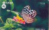 PAPILLON Butterfly SCHMETTERLING VlinderTelecarte (302) - Vlinders