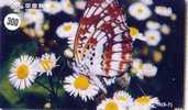 PAPILLON Butterfly SCHMETTERLING VlinderTelecarte (300) - Vlinders