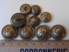 Bouton Ancien / Militaire, Lot - Buttons