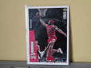 Chicago Bulls - 95 / 96 ( Carte ) Dennis Rodman - Collector S - N.B.A . N° 22 . 2 Scannes - Chicago Bulls