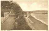 Britain United Kingdom - Cliff  Walk, Sandown, I.W.- Used Postcard [P117] - Sandown