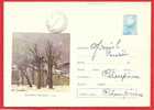 ROMANIA 1973 Postal Stationery Cover CIUCURENCU ALEXANDRU, PEINTURE,  PAINTING - Impresionismo