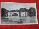 Grand Bridge Blenheim Palace R.A. Real Photograph PC - Otros & Sin Clasificación