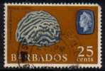 BARBADOS   Scott #  276  F-VF USED - Barbades (...-1966)