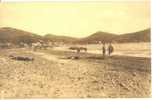 RARE CARTE POSTALE    LES LECQUES DE ST CYR LA PLAGE ET LA MADRAGUE - Les Lecques