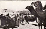 Algérie, Ghardaia -  La Place Du Marché, Circule Oui, 1958 - Ghardaïa