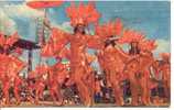 Carnival Scene, Carnaval Trinidad Photo Hans Peter Reiter - Carnevale