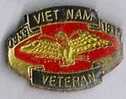 Vietnam Veteran (l'aigle) - Policia