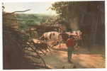 Saint-Cyr-au-Mont-d'Or (69) : Rentrée Des Vaches à La Ferme Environ 1970 (animée). - Anse