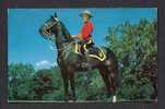 POLICE - MEMBER OF THE FAMED ROYAL CANADIAN MOUNTED POLICE - R.C.M.P. - Police - Gendarmerie