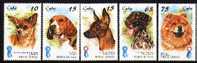 CUBA 1998 - FAUNE - CHIENS (TÊTES) - 5v - Unused Stamps