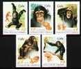 CUBA 1998 - LE CHIMPANZÉ ET SON ÉVOLUTION (5) - Nuevos