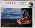 Mongolian Nationality Dancing,grassland Sheep,China 2002 Tenggelitala Tourism Advertising Pre-stamped Card - Danse