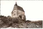 Cpsm, Saint-Julien-du-Sault (Yonne), La Chapelle De Vauguilain, Ruines Du Châtaeu-fort (XIIè Siècle) - Saint Julien Du Sault