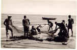 BRASIL-43 : BEIRA : Fishermen - Mozambique