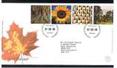 2000 GB FDC First Day Cover - Millennium - Tree & Leaf - Ref 473 - 1991-2000 Decimal Issues