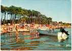 33 - GIRONDE - ANDERNOS Les BAINS - La PLAGE Du BETEY Vers Le MAURET  - DOS Scanné - Andernos-les-Bains