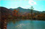 USA Mt Pisgah And The Rat In Pisgah Nationnal Forest Western North Carolina Mountains - Other & Unclassified