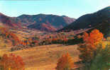 USA Intituled "An Autumn Scene In Maggie Valley, As Seen From US Highway19, Western North Carolina" Mountains Trees - Andere & Zonder Classificatie