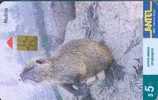 # URUGUAY Tc93a Nutria $5 Gem 11.99 -animal- Tres Bon Etat - Uruguay