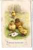 GOOD OLD POSTCARD - Chicken & Ladybird - Insects