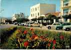 66 - SAINT CYPRIEN - Boulevard Fleuri - Voiture Automobile - Détail Au Dos - Saint Cyprien