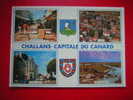 CPM -85-VENDEE-  CHALLANS-CAPITALE DU CANARD-MULTI-VUES-RUE PIETONNIERE-L'EGLISE-L'HOTEL DE VILLE -ELEVAGE DE CANARD - Challans