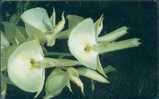 # VENEZUELA 142 Catasetum Pileatum  7/12 (Orquideas) 1000 Incard 09.96 -fleurs,flowers- Tres Bon Etat - Venezuela