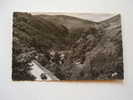 81 - Tarn -Lacaune Les Bains     Ca 1950's   VF  D58820 - Mazamet